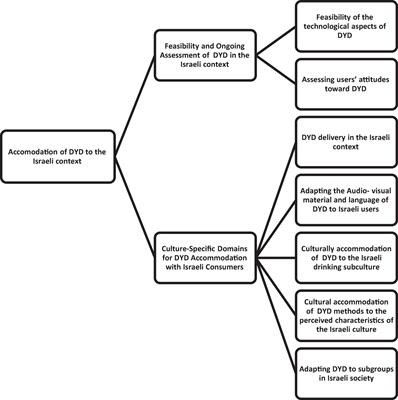 Cultural accommodation of internet-based interventions for substance use and related disorders: a proposed comprehensive framework based on a pilot study and a literature review